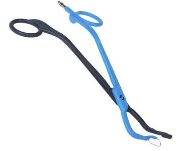 Electrosurgical Forceps